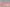 Candied Glow  - Sunset Painting 188