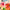 Wild Bloom Energy- Abstract Painting Series 903