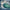 Green Room - Wave Painting 514