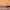 Glowing Light  - Sunset Painting - 161
