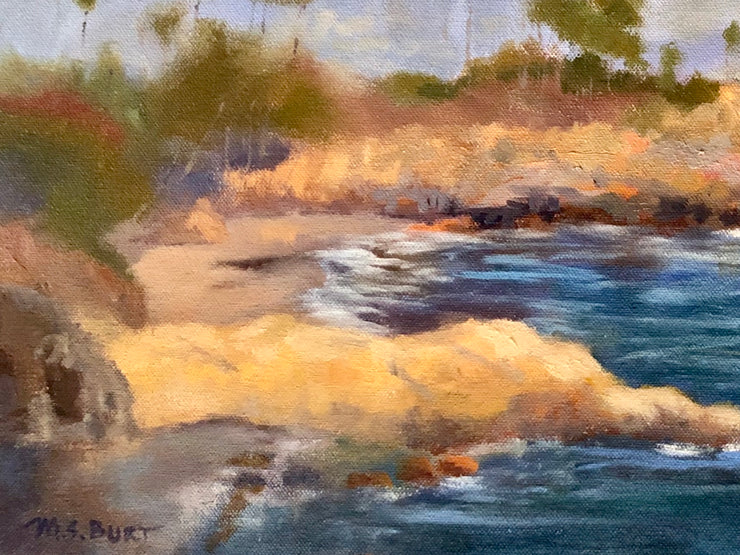 Laguna Beach Seascape - 143