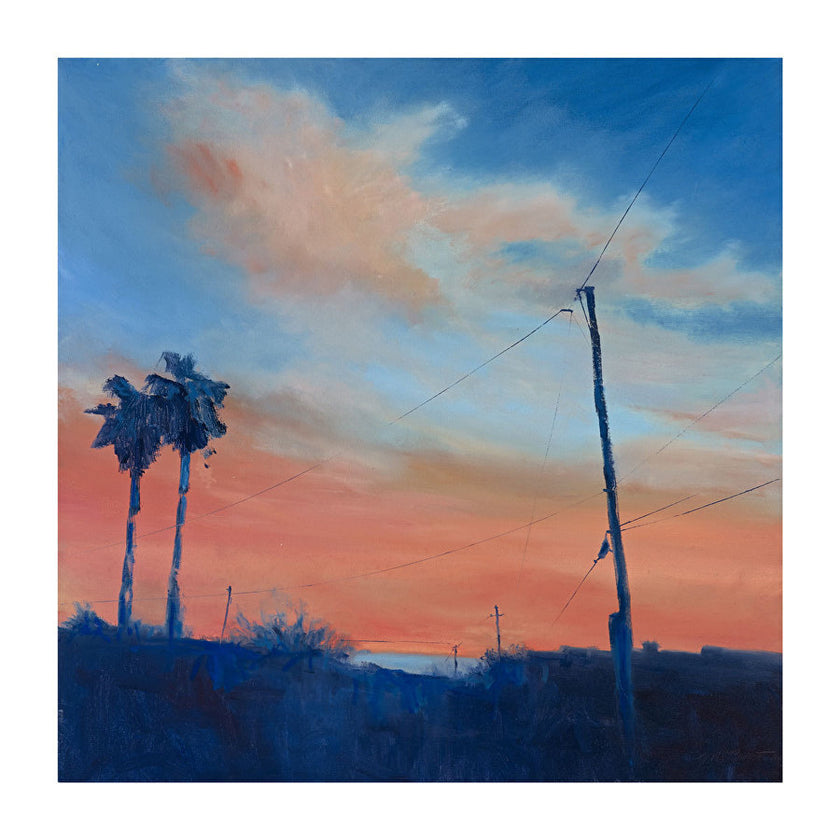 Goodbye North Laguna - Wired Painting 102